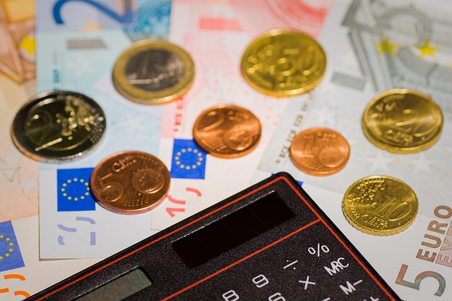 Rodinný rozpočet na rok 2025: Jak se připravit na rostoucí ceny?